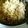mamechild's cooksnap of when they made 緑豆のおこわ.