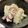 nagomi＊'s cooksnap of when they made 鶏モモとキャベツの簡単蒸し焼き～☆.