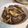 ゆるмαмα's cooksnap of when they made 霜降りひらたけのうま煮.