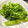 neneko's cooksnap of when they made だし不要！めんつゆで菜の花のおひたし.