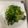えみちょりん♪'s cooksnap of when they made ☆ほうれん草とベーコンのバター醤油炒め☆.
