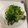 えみちょりん♪'s cooksnap of when they made ☆ほうれん草とベーコンのバター醤油炒め☆.
