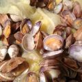 ちゃいはむ's cooksnap of when they made キャベツが美味しい！アサリの酒蒸し♪.