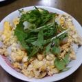 とうやん's cooksnap of when they made 簡単＆ヘルシー！豆腐そぼろ丼♪.