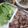スリーエクボ's cooksnap of when they made 焼くだけ！豚バラ肉　サムギョプサル.