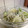 朝食当番's cooksnap of when they made しらすと大根ときゅうりの酢の物.