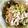 totttty's cooksnap of when they made 豚肉とアスパラのマヨネーズ炒め.