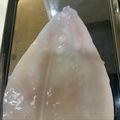 よっちゃんせっちゃん's cooksnap of when they made 初心者向け☆イカの下処理☆.