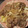 カバゴン's cooksnap of when they made ❃°.生姜に漬けて！うちの生姜焼き.°❃.