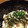 achamonmon's cooksnap of when they made 酢飯と相性抜群！定食屋の鯵の混ぜご飯.