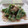 doiko's cooksnap of when they made いんげんの即席ごま和え.