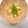 kana叶's cooksnap of when they made お初もの筍の木の芽和え.