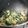しらたまこもも's cooksnap of when they made お弁当にも！ほうれん草のベーコン炒め.