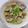 あっこ姉's cooksnap of when they made アサリと白菜の体ぽかぽかスープ.