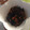 あるぱかりんこ's cooksnap of when they made 簡単☆ひじきと人参の煮物.