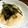 チェルミー♪'s cooksnap of when they made とろろご飯.