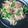 suookiemom's cooksnap of when they made コンビーフでもう一品.