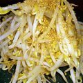 zima-m's cooksnap of when they made ＊とにかく簡単！！もやしナムル＊.