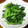 daikanon's cooksnap of when they made かき菜のおひたし＊ゆず胡椒風味.