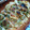 いいち子☆'s cooksnap of when they made 筍の塩バターでマヨチーズ焼き.