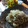 みーここなっつ's cooksnap of when they made 切り干し大根のごま甘酢和え.