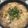 ラリー＆サラ's cooksnap of when they made 新玉葱de親子丼風卵とじ☆.