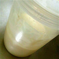 yangpa's cooksnap of when they made 酒粕酵母エキスで中種作り♡.