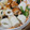 むーんばぐす's cooksnap of when they made 【常備菜・副菜メモ用】ほうれん草とちくわ.
