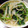 ramieru's cooksnap of when they made ほうれん草＆もやしの炒め物.