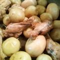 copom's cooksnap of when they made ＊鶏手羽元のうまうま照り煮＊.