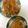 えぬこさん's cooksnap of when they made じゃがいもの塩辛炒め.