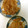 えぬこさん's cooksnap of when they made じゃがいもの塩辛炒め.