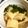 usagi627's cooksnap of when they made 春だ！！たけのことわかめの煮物.