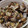 トモの嫁's cooksnap of when they made あさりのバター酒蒸し.