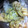トウピキ's cooksnap of when they made 私流、たけのこの茹で方＆保存法.