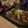 DreamBoard's cooksnap of when they made 牛肉と大根のオイスターソース炒め煮.