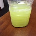 kanna03's cooksnap of when they made キャベツ酵素ジュース.