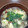 かあたらあ's cooksnap of when they made わかめとなめこと卵の味噌汁.