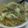 どえどどえ's cooksnap of when they made ツナとキャベツの柚子胡椒あえパスタ.