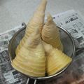 サーフブレイド's cooksnap of when they made 筍の茹で方.