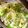 カルビ久美's cooksnap of when they made 私の好きなアボカド納豆パスタ!(^^)!.
