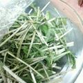 shyokoko's cooksnap of when they made 水菜だけ！シャキシャキ胡麻和え.