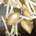 rrg's cooksnap of when they made ♪コリコリ♪豚の子袋の塩コショウ炒め！.