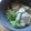 アトリン's cooksnap of when they made 春キャベツのシンプルサラダ.