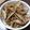はつこ～'s cooksnap of when they made 鶏肉ごぼうの中華炒め.