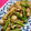 Haru Haru's cooksnap of when they made アスパラとほたてのサッと炒め.