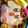 Wskitchen's cooksnap of when they made カービーキャラ弁.