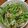 soutanpopo's cooksnap of when they made きのこ達と明太子でピリ辛サラダ♫♫.