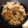 ｃｈａｒｍｍ's cooksnap of when they made たけのこご飯.