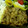 SunWukong's cooksnap of when they made ☆５分で出来る！簡単で旨い生姜焼き☆.